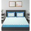 Light Blue Jaipuri Print 120 TC Cotton Double Bed Sheet with 2 Pillow Covers (SHKAP1225) - FrionKandy