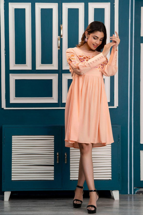 Peach Floral Embroidered Mini Fit and Flare Dress