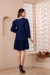 Navy Blue Floral Embroidered Mini Fit and Flare Dress